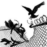 birds tearing down a razor wire fence