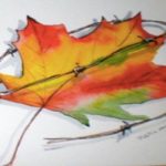 maple leaf wrapped in barbed wire